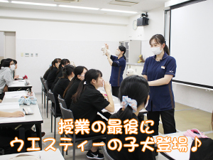 様々な講義☆モデル犬も協力してくれます！